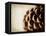 Pine Cone-Jessica Rogers-Framed Stretched Canvas