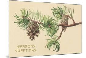 Pine Cones and Boughs-null-Mounted Premium Giclee Print