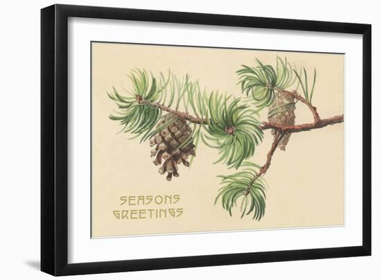 Pine Cones and Boughs-null-Framed Art Print