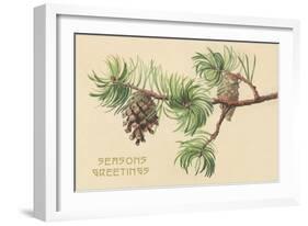 Pine Cones and Boughs-null-Framed Art Print