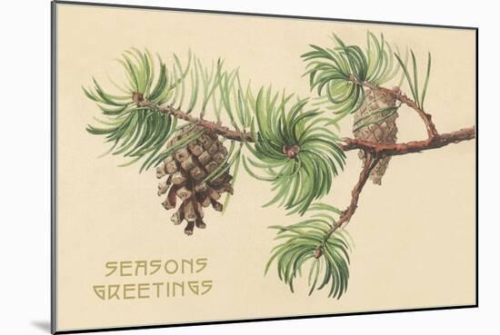 Pine Cones and Boughs-null-Mounted Art Print