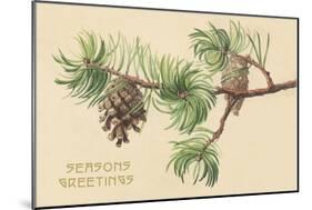 Pine Cones and Boughs-null-Mounted Art Print