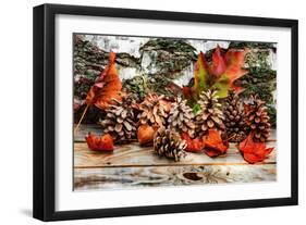 Pine Cones for Fall-Philippe Sainte-Laudy-Framed Photographic Print