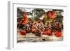 Pine Cones for Fall-Philippe Sainte-Laudy-Framed Photographic Print