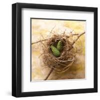 Pine Cones In Nest-Glen and Gayle Wans-Framed Giclee Print