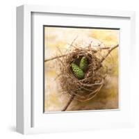 Pine Cones In Nest-Glen and Gayle Wans-Framed Giclee Print