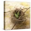 Pine Cones In Nest-Glen and Gayle Wans-Stretched Canvas