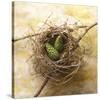Pine Cones In Nest-Glen and Gayle Wans-Stretched Canvas