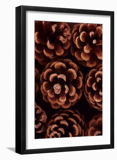 Pine Cones-Den Reader-Framed Premium Photographic Print