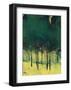 Pine Copse-Paul Bailey-Framed Art Print