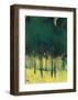 Pine Copse-Paul Bailey-Framed Art Print