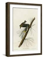 Pine Creeping Warbler-null-Framed Giclee Print