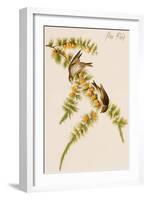 Pine Finch-John James Audubon-Framed Art Print