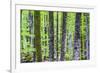 Pine Forest at Lake Bohinj, Triglav National Park, Julian Alps, Slovenia, Europe-Matthew Williams-Ellis-Framed Photographic Print