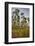 Pine Forest in Long Pine Area of Everglades NP-Terry Eggers-Framed Photographic Print