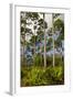 Pine Forest in Long Pine Area of Everglades NP-Terry Eggers-Framed Photographic Print