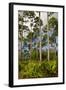 Pine Forest in Long Pine Area of Everglades NP-Terry Eggers-Framed Photographic Print