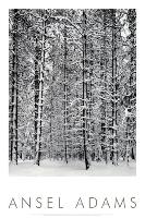 Pine Forest in Snow, Yosemite National Park, 1932-Ansel Adams-Framed Art Print