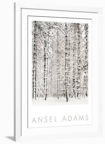 Pine Forest in the Snow, Yosemite National Park-Ansel Adams-Framed Art Print