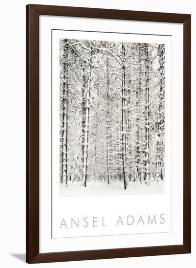 Pine Forest in the Snow, Yosemite National Park-Ansel Adams-Framed Art Print