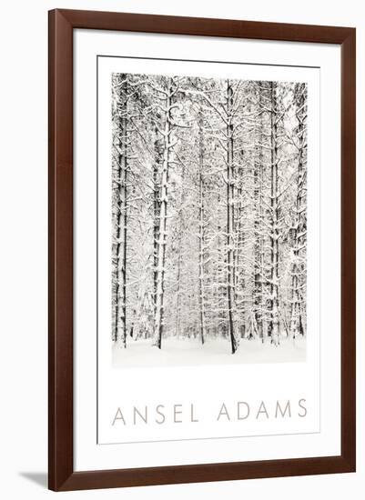 Pine Forest in the Snow, Yosemite National Park-Ansel Adams-Framed Art Print