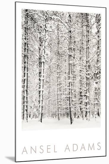 Pine Forest in the Snow, Yosemite National Park-Ansel Adams-Mounted Art Print