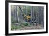 Pine Forest Logging-Gary Carter-Framed Photographic Print