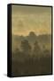 Pine Forest on Misty Autumn Morning, Rothiemurchus Forest, Cairngorms National Park, Scotland-Mark Hamblin-Framed Stretched Canvas