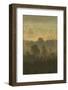 Pine Forest on Misty Autumn Morning, Rothiemurchus Forest, Cairngorms National Park, Scotland-Mark Hamblin-Framed Photographic Print