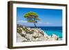 Pine Forest Tree by the Sea in Halkidiki, Greece-mazzzur-Framed Photographic Print