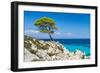 Pine Forest Tree by the Sea in Halkidiki, Greece-mazzzur-Framed Photographic Print