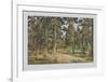 Pine Forest-Iwan Iwanowitsch Schischkin-Framed Collectable Print