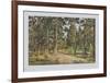 Pine Forest-Iwan Iwanowitsch Schischkin-Framed Collectable Print