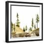 Pine Hill II-Jacob Green-Framed Art Print