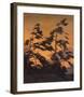 Pine Island, Georgian Bay-Tom Thomson-Framed Art Print