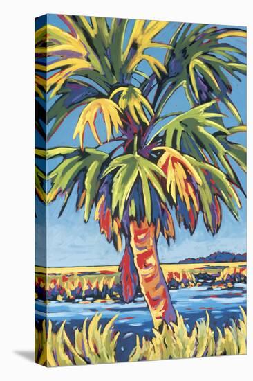 Pine Island Palm-Sally Evans-Stretched Canvas