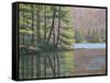 Pine Lake-Bruce Dumas-Framed Stretched Canvas