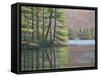 Pine Lake-Bruce Dumas-Framed Stretched Canvas