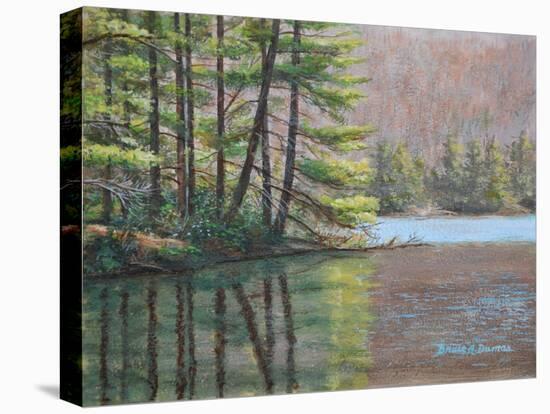 Pine Lake-Bruce Dumas-Stretched Canvas
