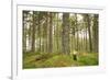 Pine Marten (Martes Martes) Adult Female in Caledonian Forest, the Black Isle, Scotland, UK-Terry Whittaker-Framed Photographic Print