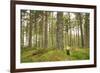 Pine Marten (Martes Martes) Adult Female in Caledonian Forest, the Black Isle, Scotland, UK-Terry Whittaker-Framed Photographic Print