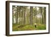 Pine Marten (Martes Martes) Adult Female in Caledonian Forest, the Black Isle, Scotland, UK-Terry Whittaker-Framed Photographic Print