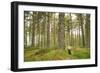 Pine Marten (Martes Martes) Adult Female in Caledonian Forest, the Black Isle, Scotland, UK-Terry Whittaker-Framed Photographic Print