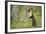 Pine Marten (Martes Martes) Female Portrait, Standing in Caledonian Forest, Highlands, Scotland, UK-Terry Whittaker-Framed Photographic Print