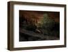 Pine Marten (Martes Martes) Walking Along Branch-Terry Whittaker-Framed Photographic Print