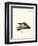 Pine Marten-null-Framed Premium Giclee Print