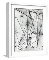 Pine Needle and Snow, 1975-Brett Weston-Framed Photographic Print