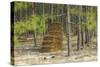 Pine Needle Harvest-Gary Carter-Stretched Canvas