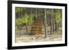 Pine Needle Harvest-Gary Carter-Framed Photographic Print