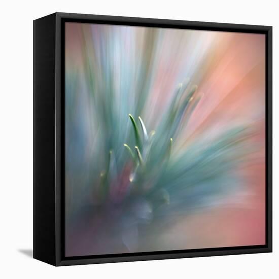 Pine Needles 1-Ursula Abresch-Framed Stretched Canvas